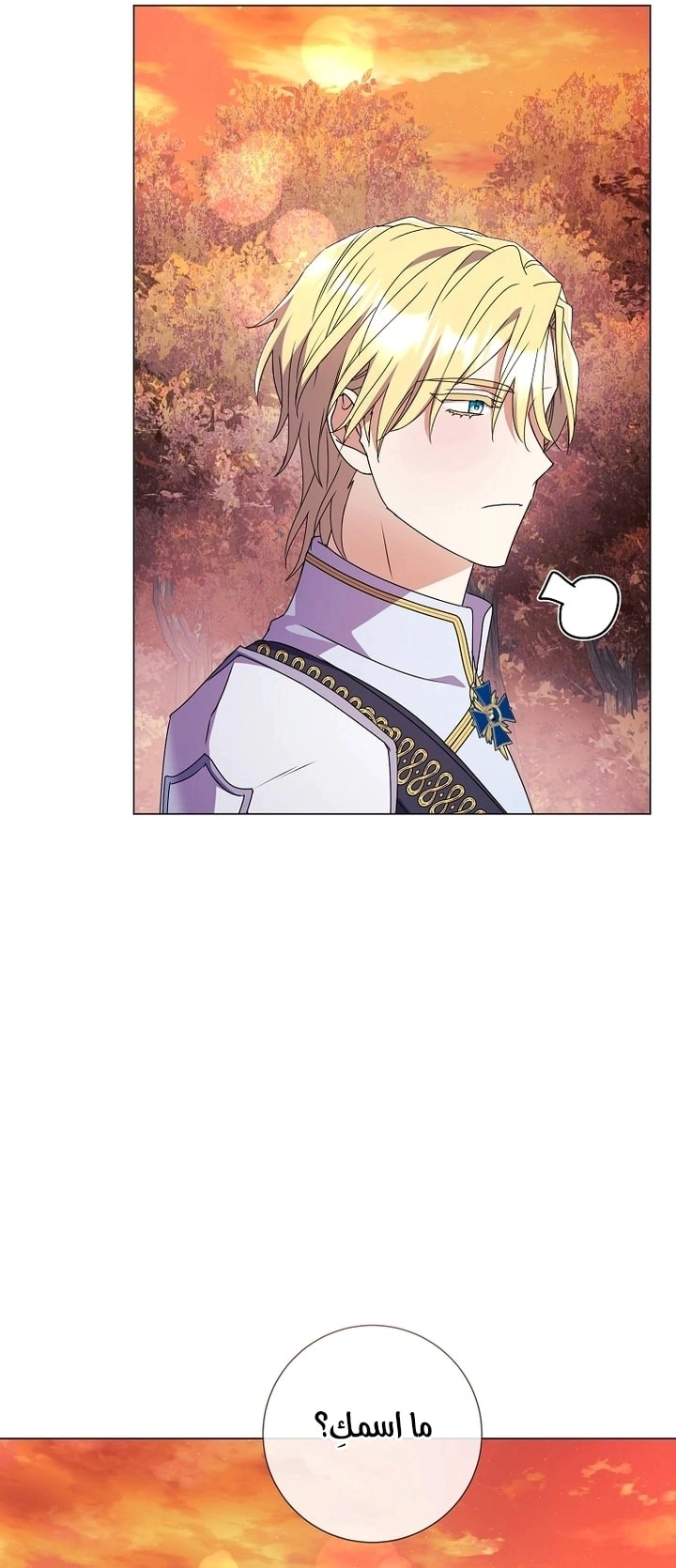 Read What Kind Of Divorce Is This When We’re Not Even Married, Your Majesty_ AR Manga Online