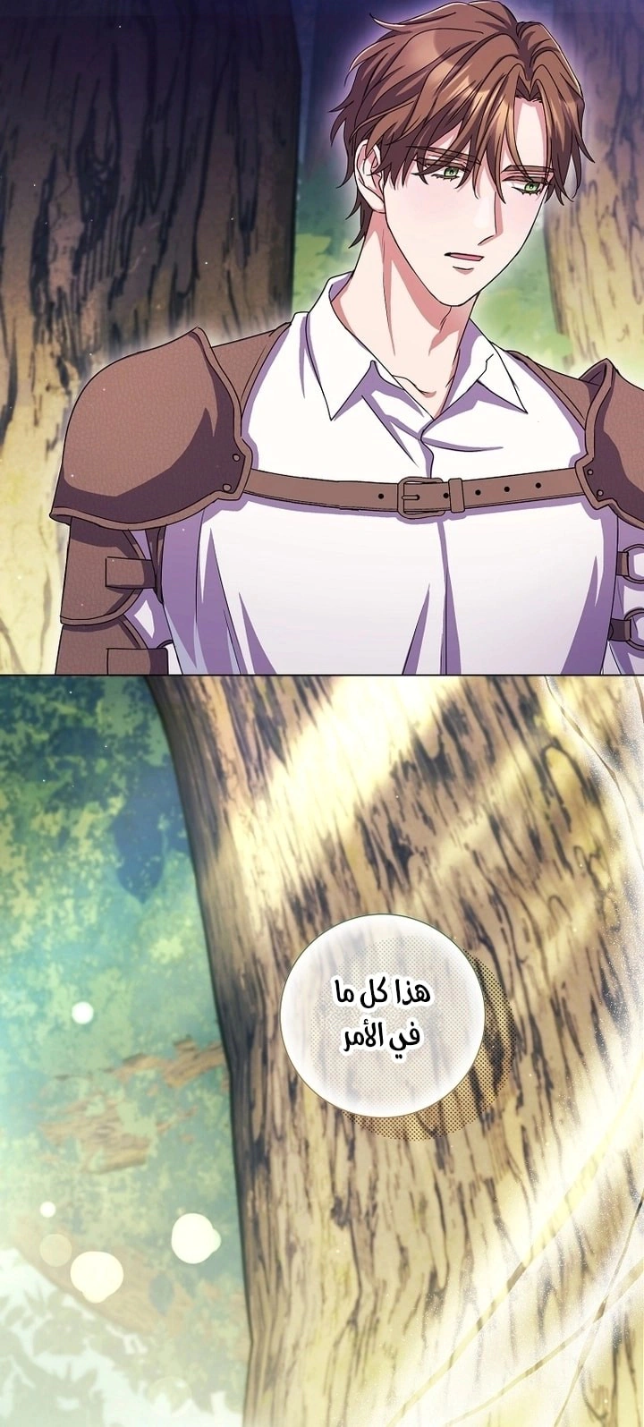 Read What Kind Of Divorce Is This When We’re Not Even Married, Your Majesty_ AR Manga Online