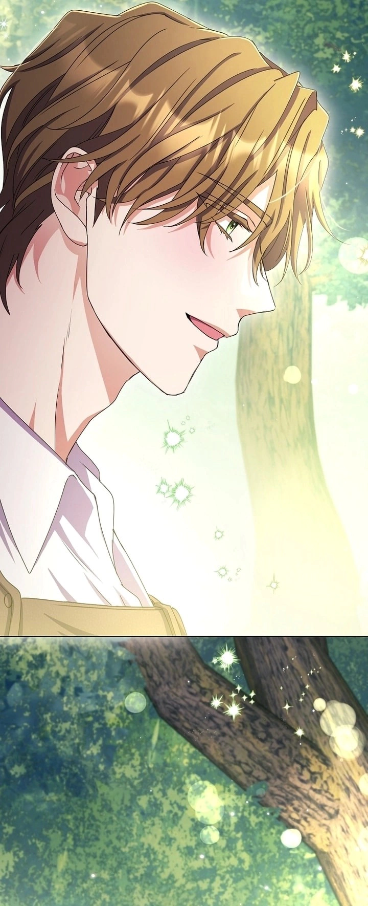 Read What Kind Of Divorce Is This When We’re Not Even Married, Your Majesty_ AR Manga Online