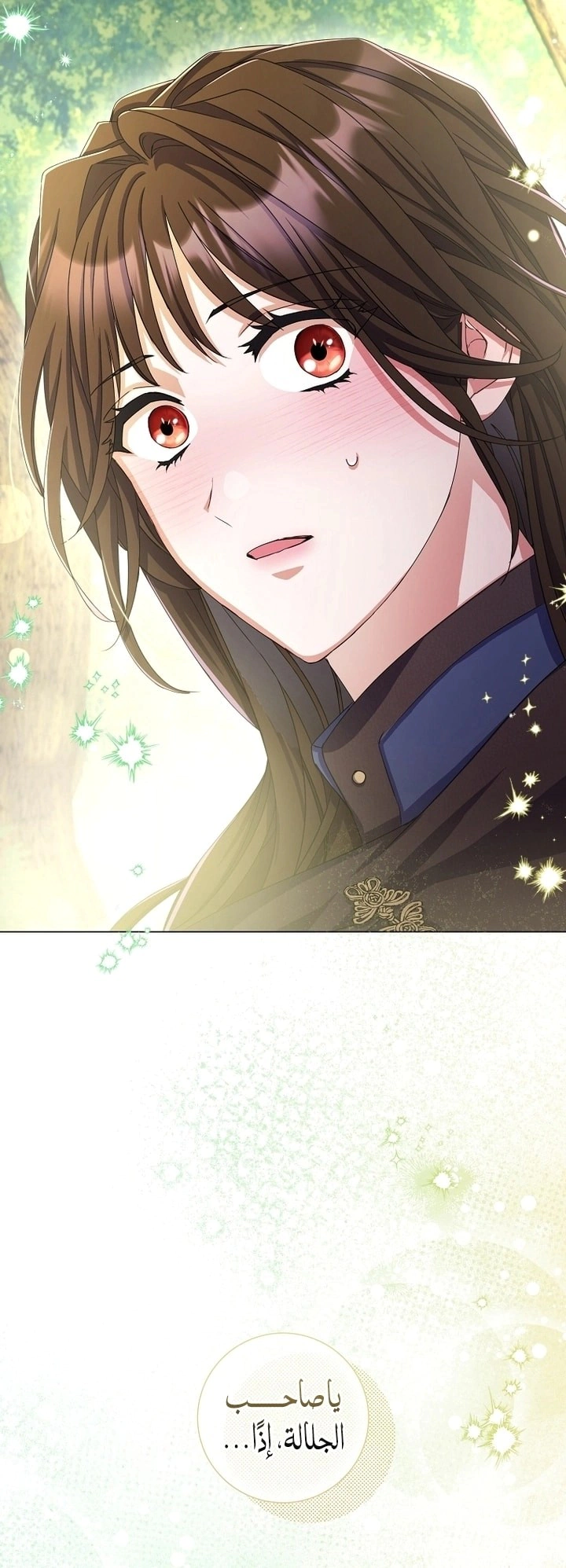 Read What Kind Of Divorce Is This When We’re Not Even Married, Your Majesty_ AR Manga Online