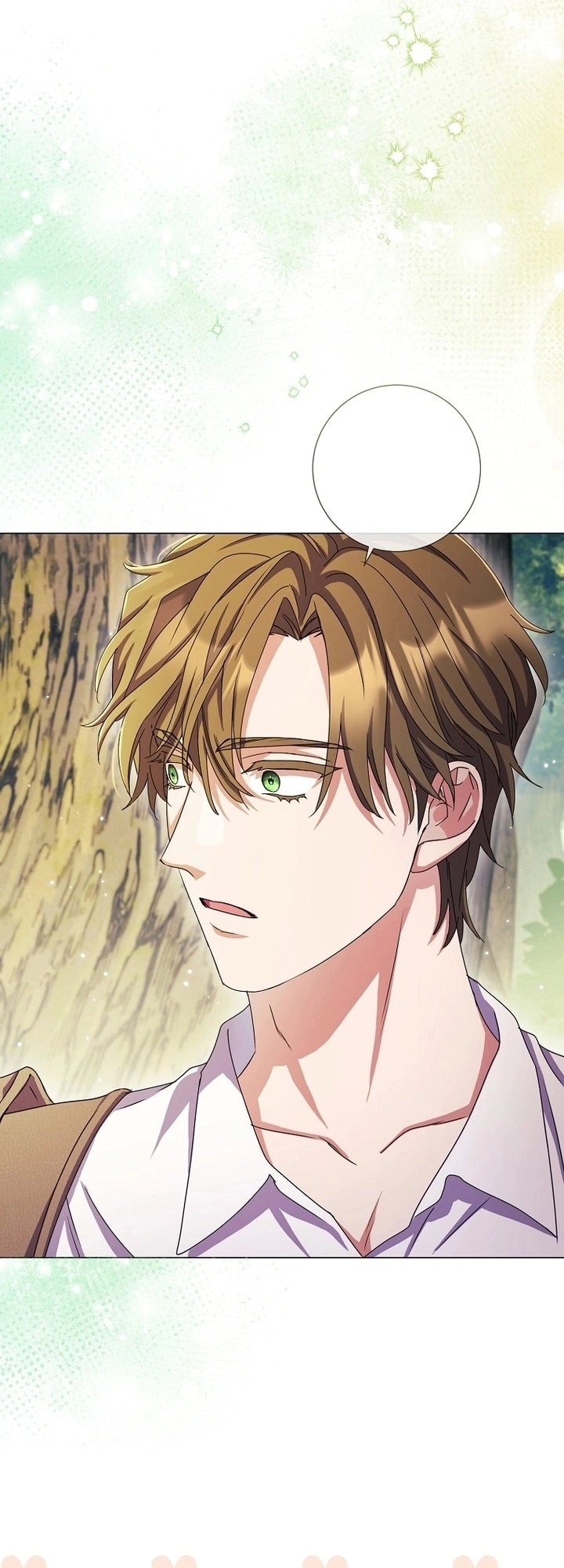 Read What Kind Of Divorce Is This When We’re Not Even Married, Your Majesty_ AR Manga Online