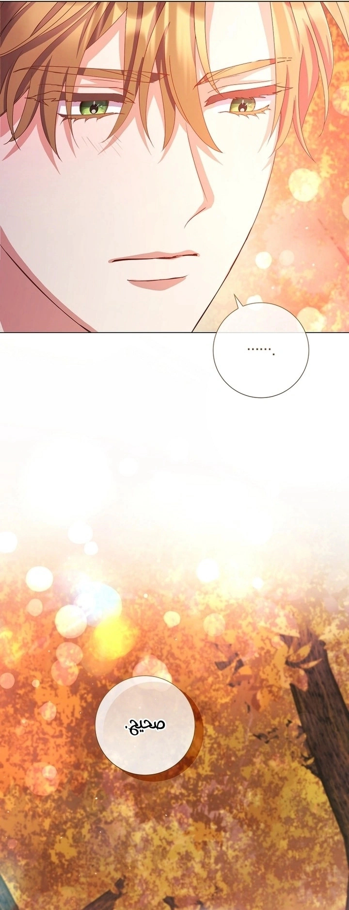 Read What Kind Of Divorce Is This When We’re Not Even Married, Your Majesty_ AR Manga Online