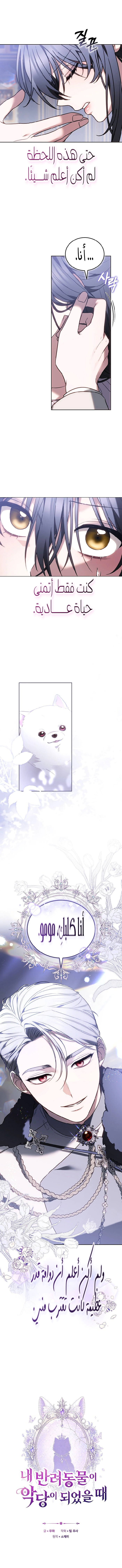 Read When My Pet Became the Villain AR Manga Online
