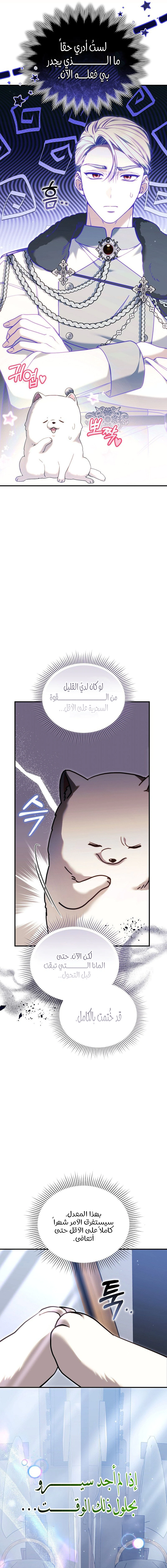 Read When My Pet Became the Villain AR Manga Online