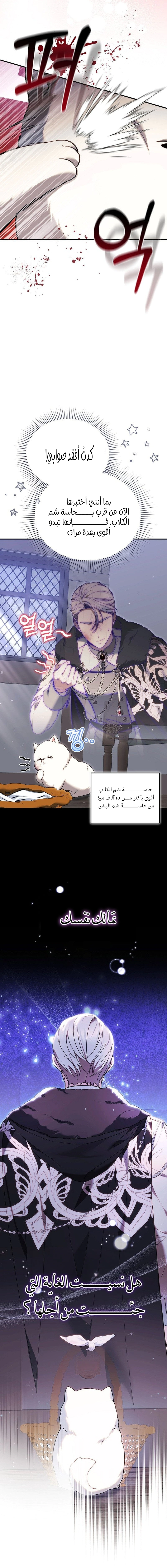 Read When My Pet Became the Villain AR Manga Online