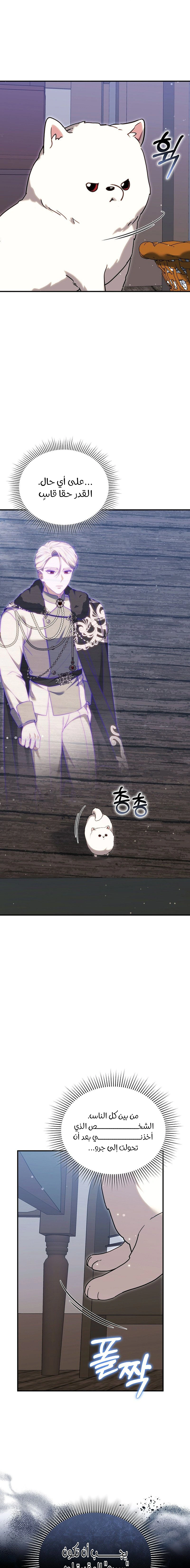 Read When My Pet Became the Villain AR Manga Online