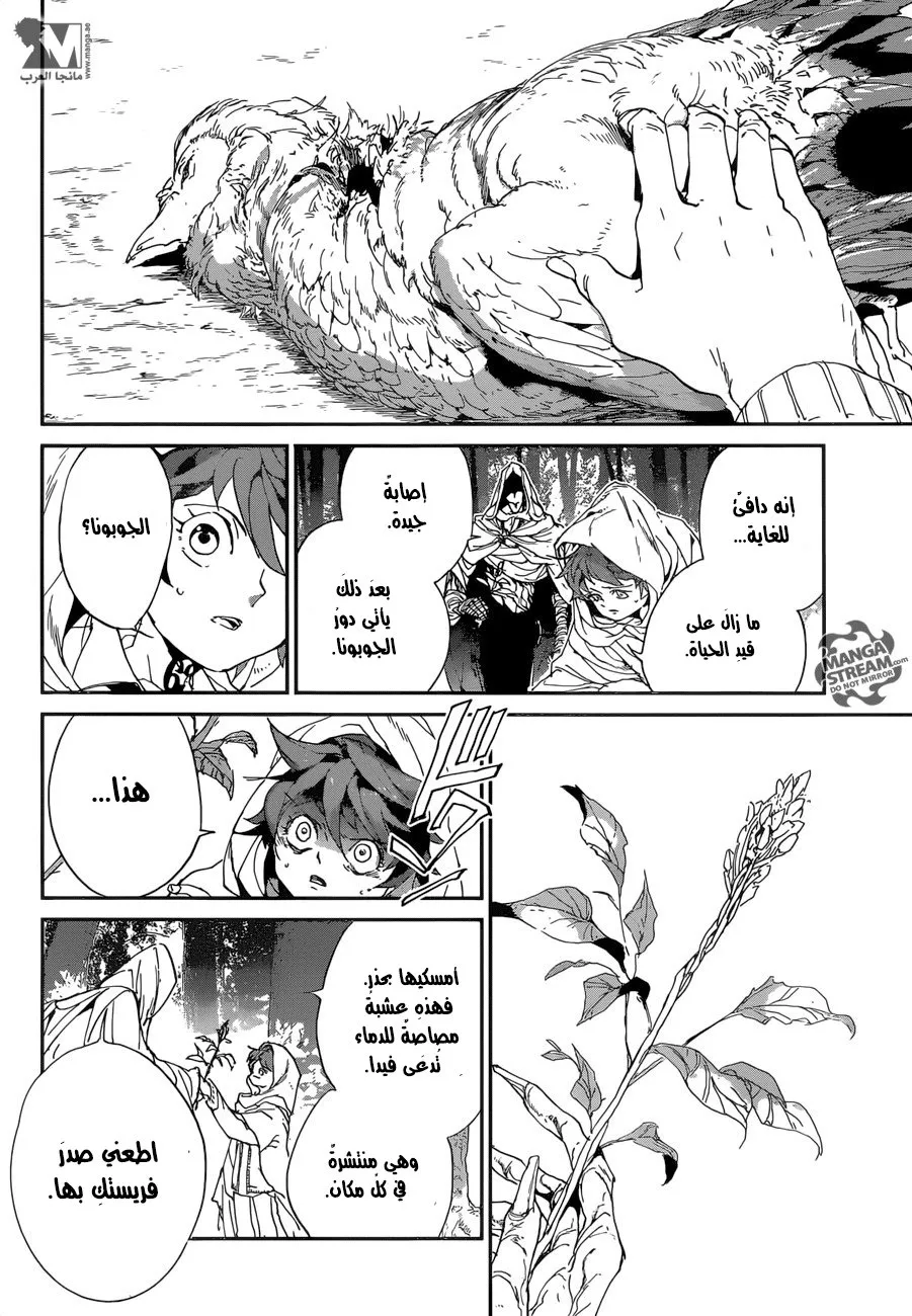 Read Yakusoku no Neverland AR Manga Online