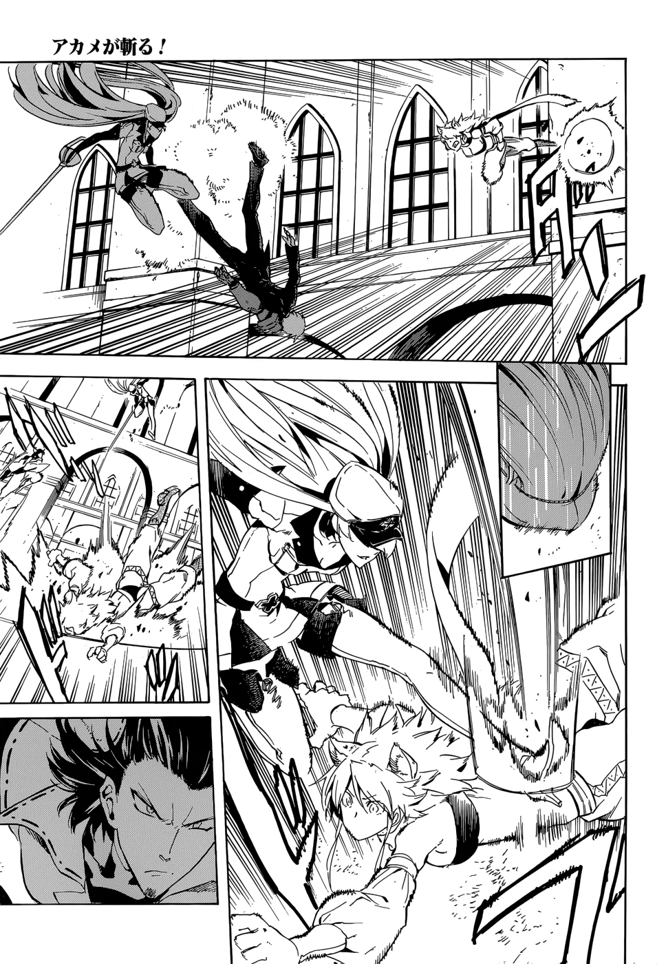 Read akame ga kill AR Manga Online