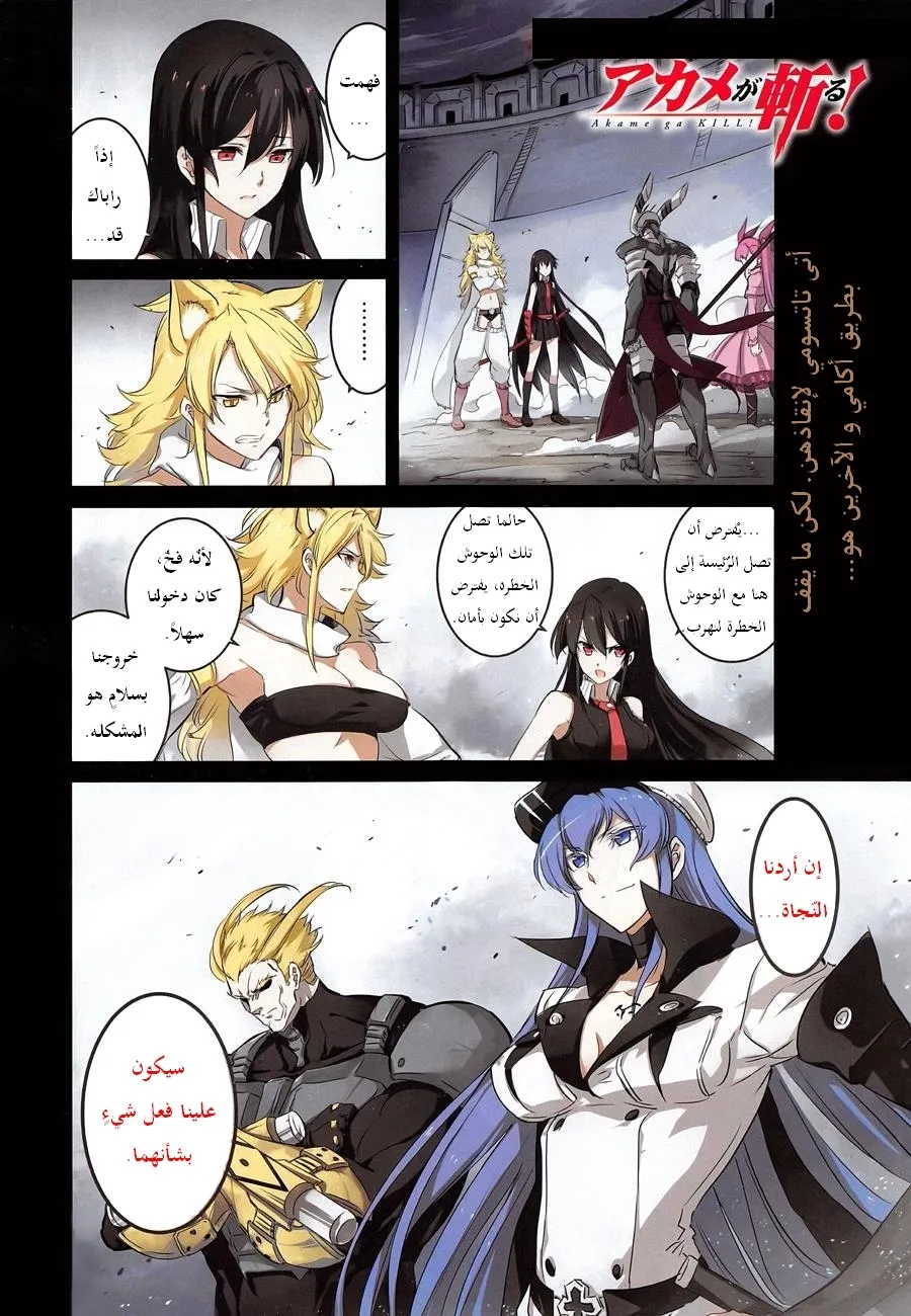 Read akame ga kill AR Manga Online