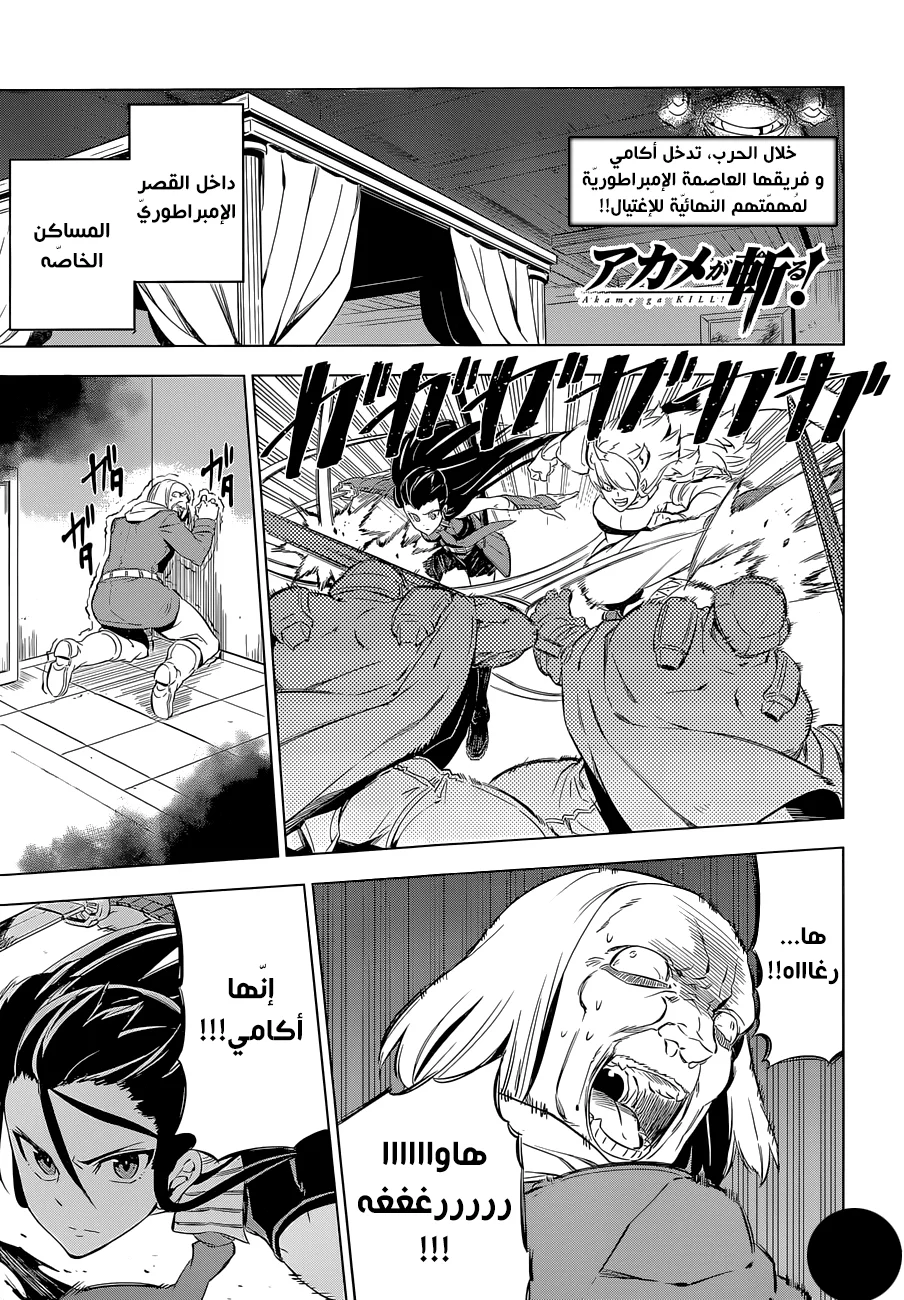 Read akame ga kill AR Manga Online