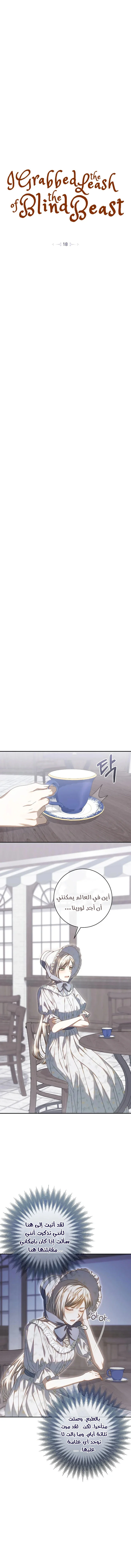 Read i grabbed the leash of the blind beast AR Manga Online