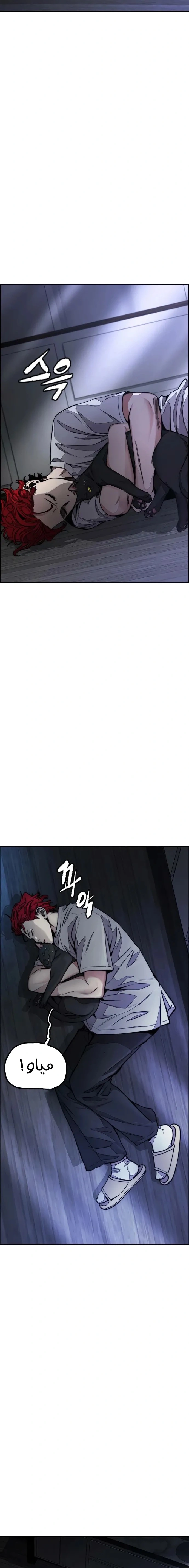 Read wind breaker AR Manga Online