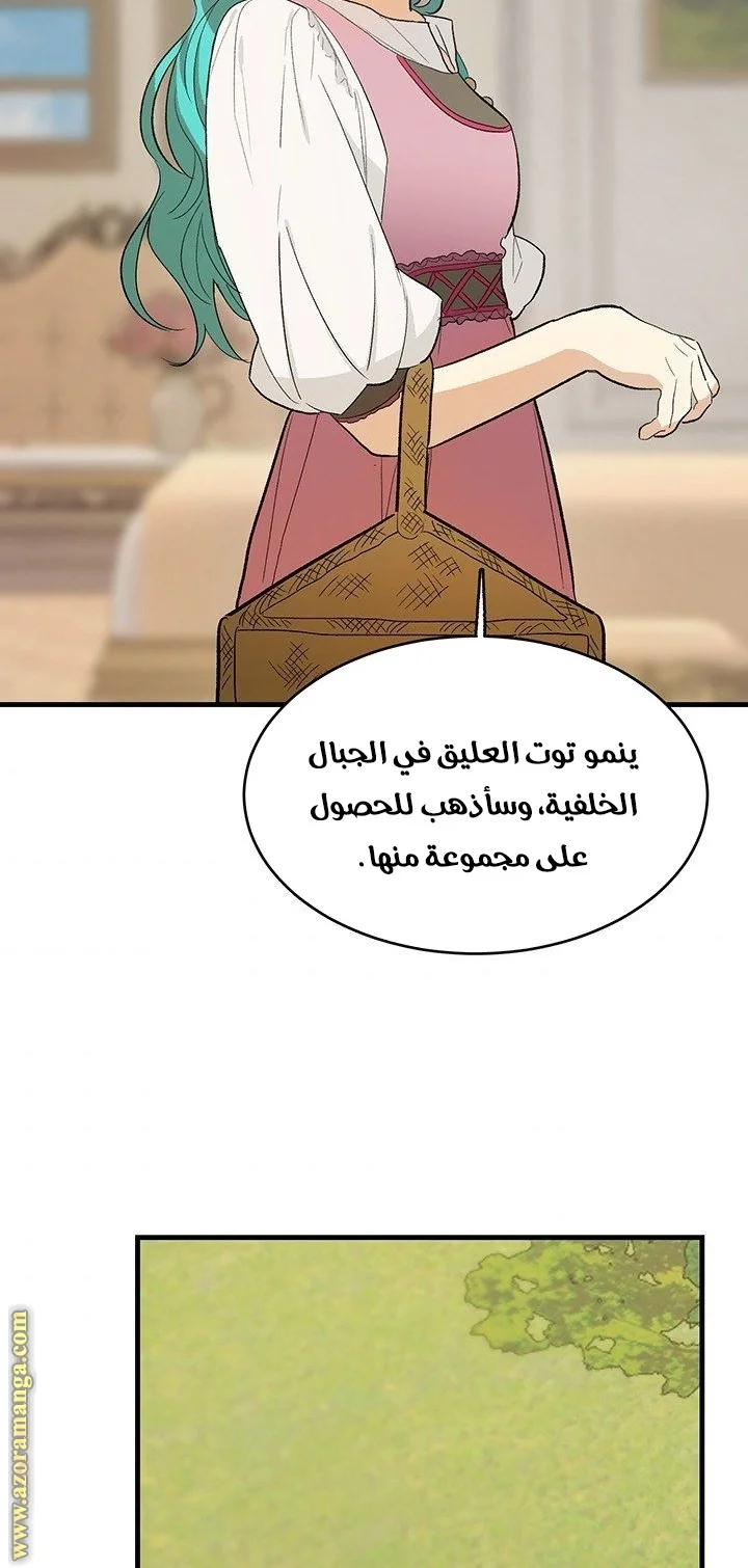 Read young Lady is a Royal Chef AR Manga Online