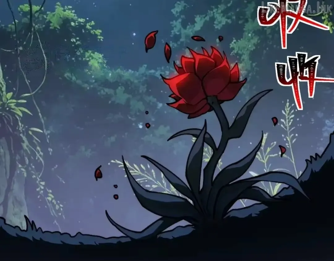 Read After the School Belle Dumped Me I Became a Martial Arts God EN Manga Online