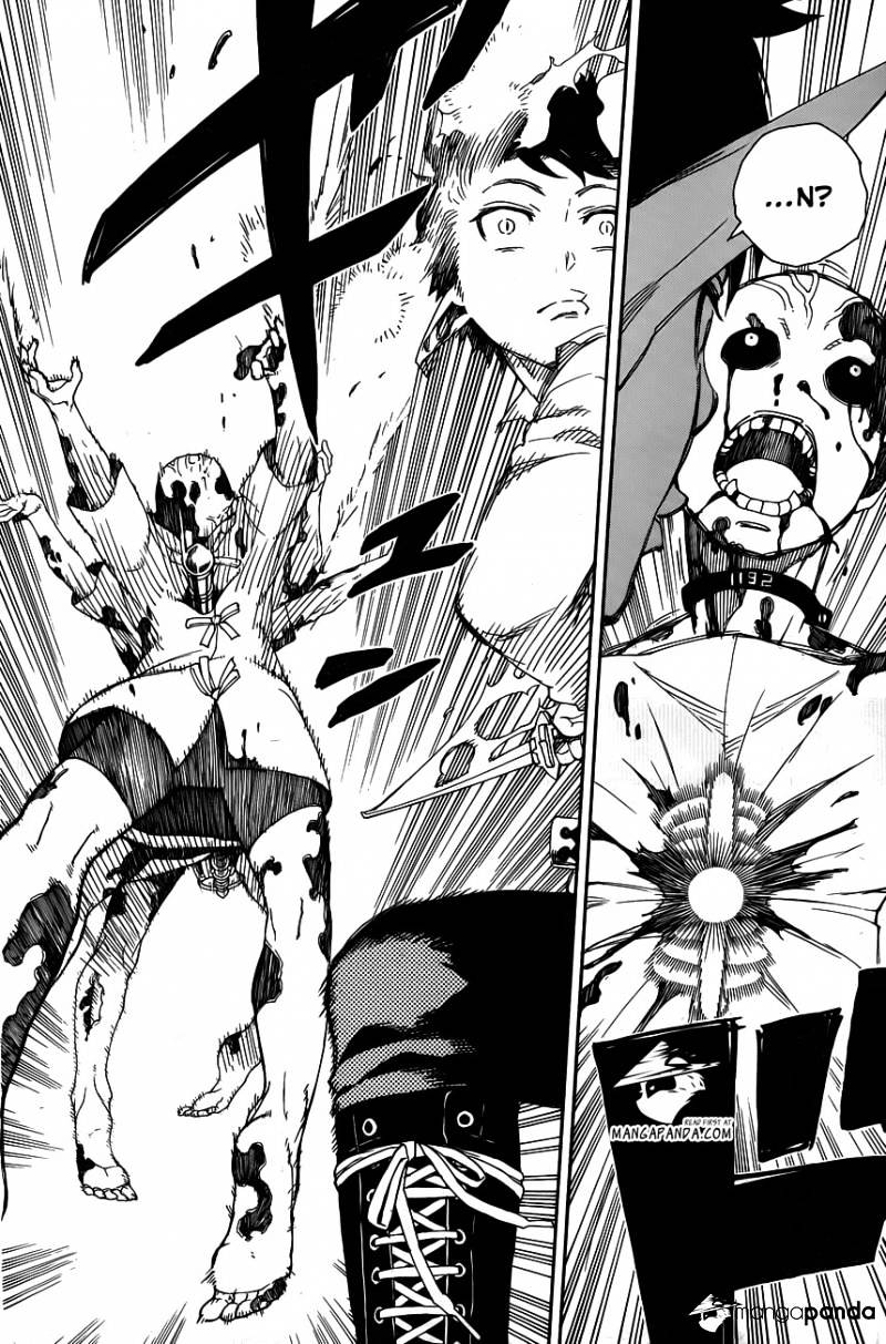 Read Ao no Exorcist EN Manga Online