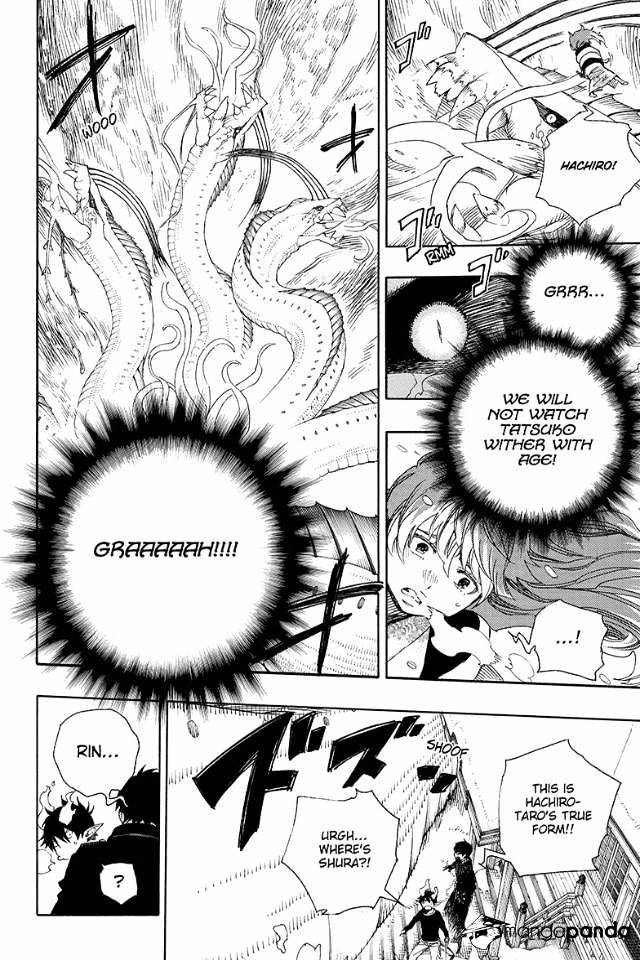 Read Ao no Exorcist EN Manga Online
