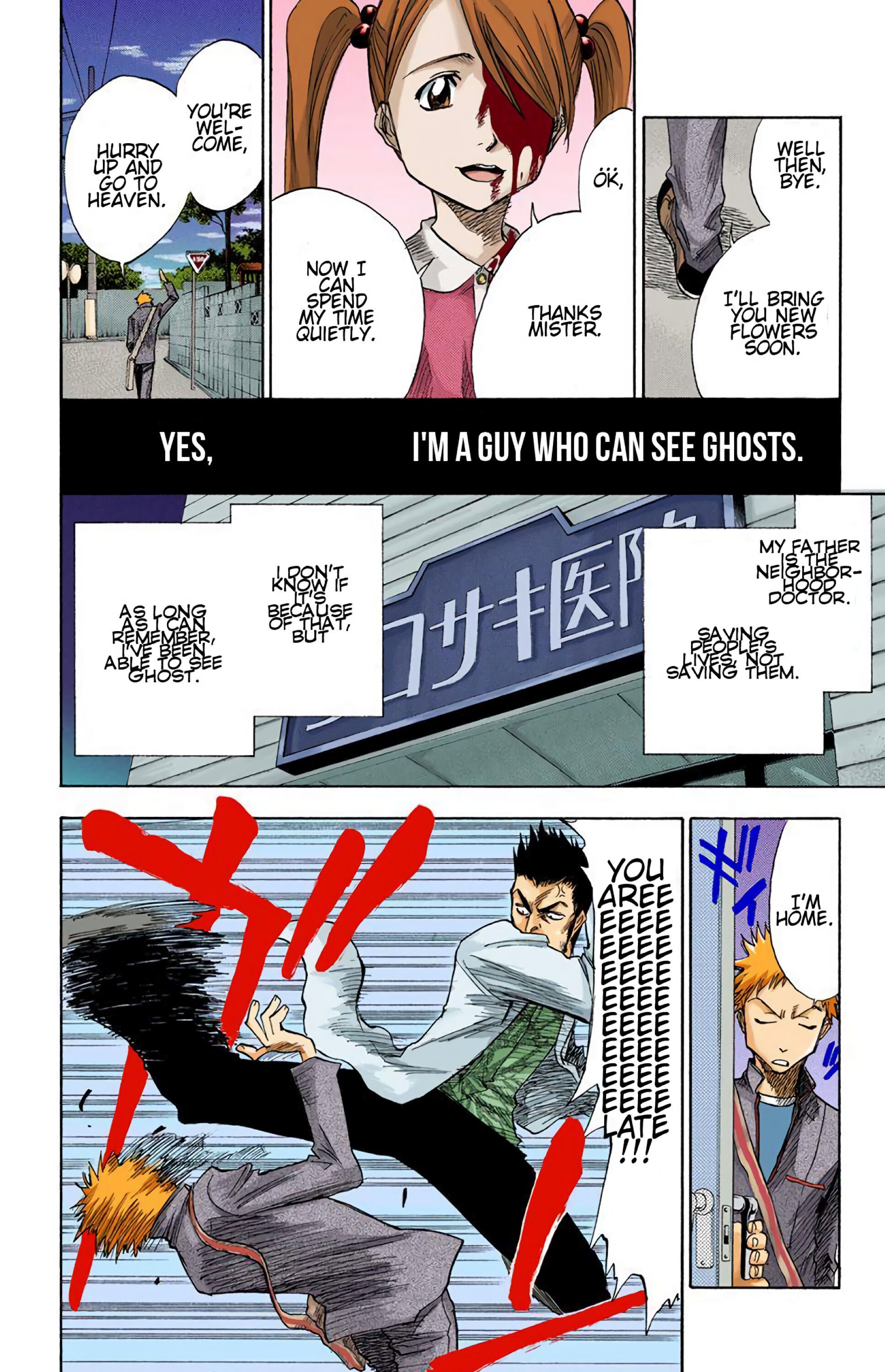 Read Bleach (Colored) EN Manga Online