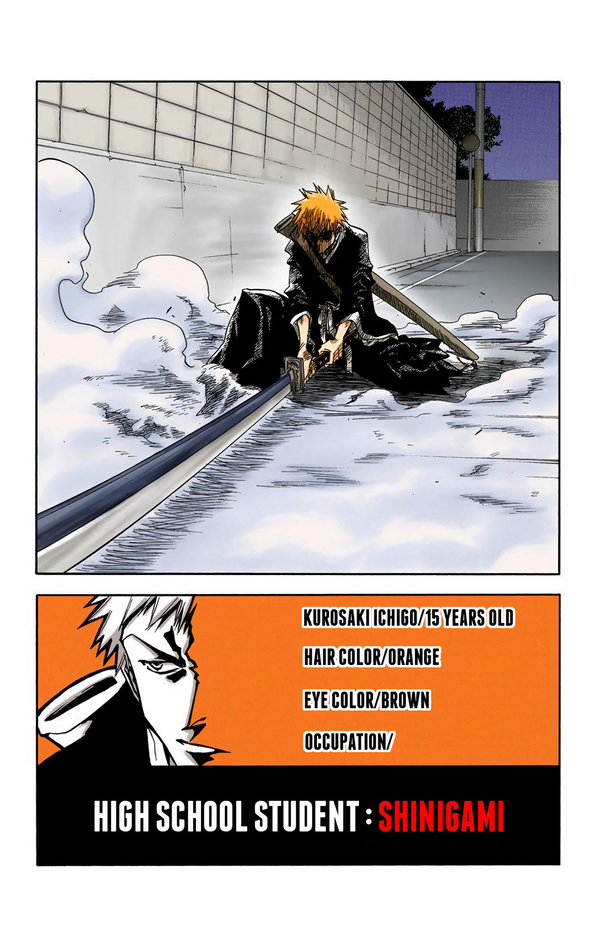 Read Bleach (Colored) EN Manga Online