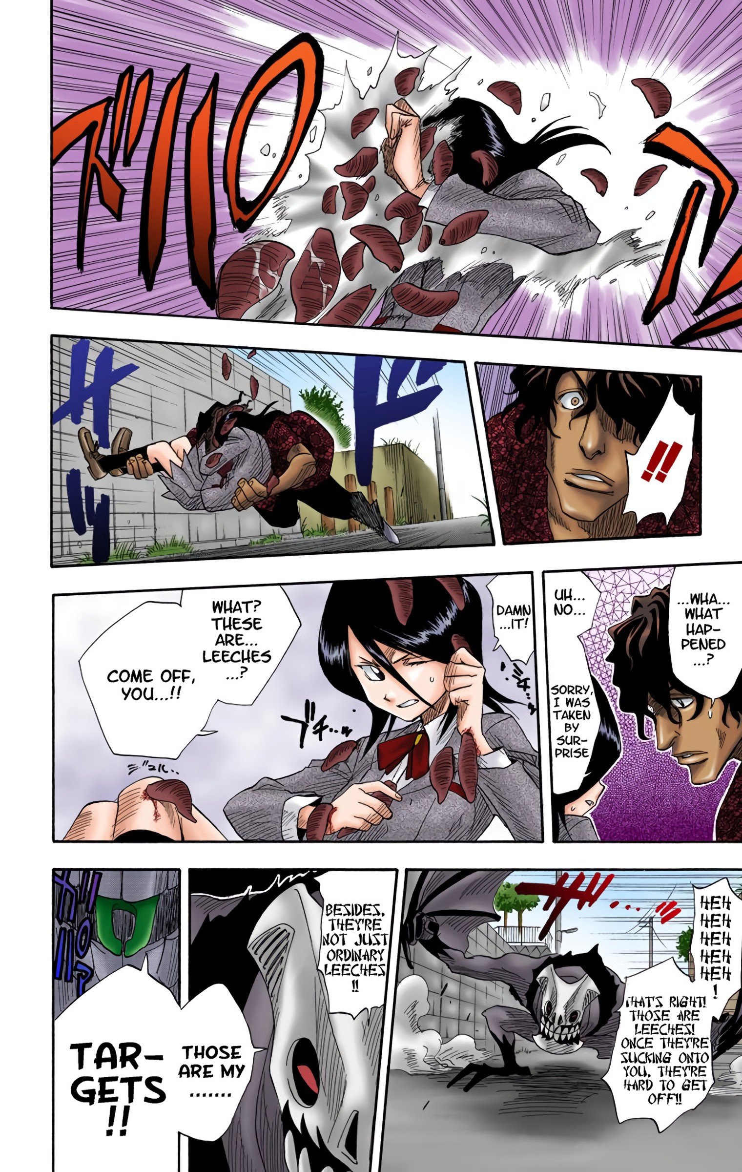 Read Bleach (Colored) EN Manga Online