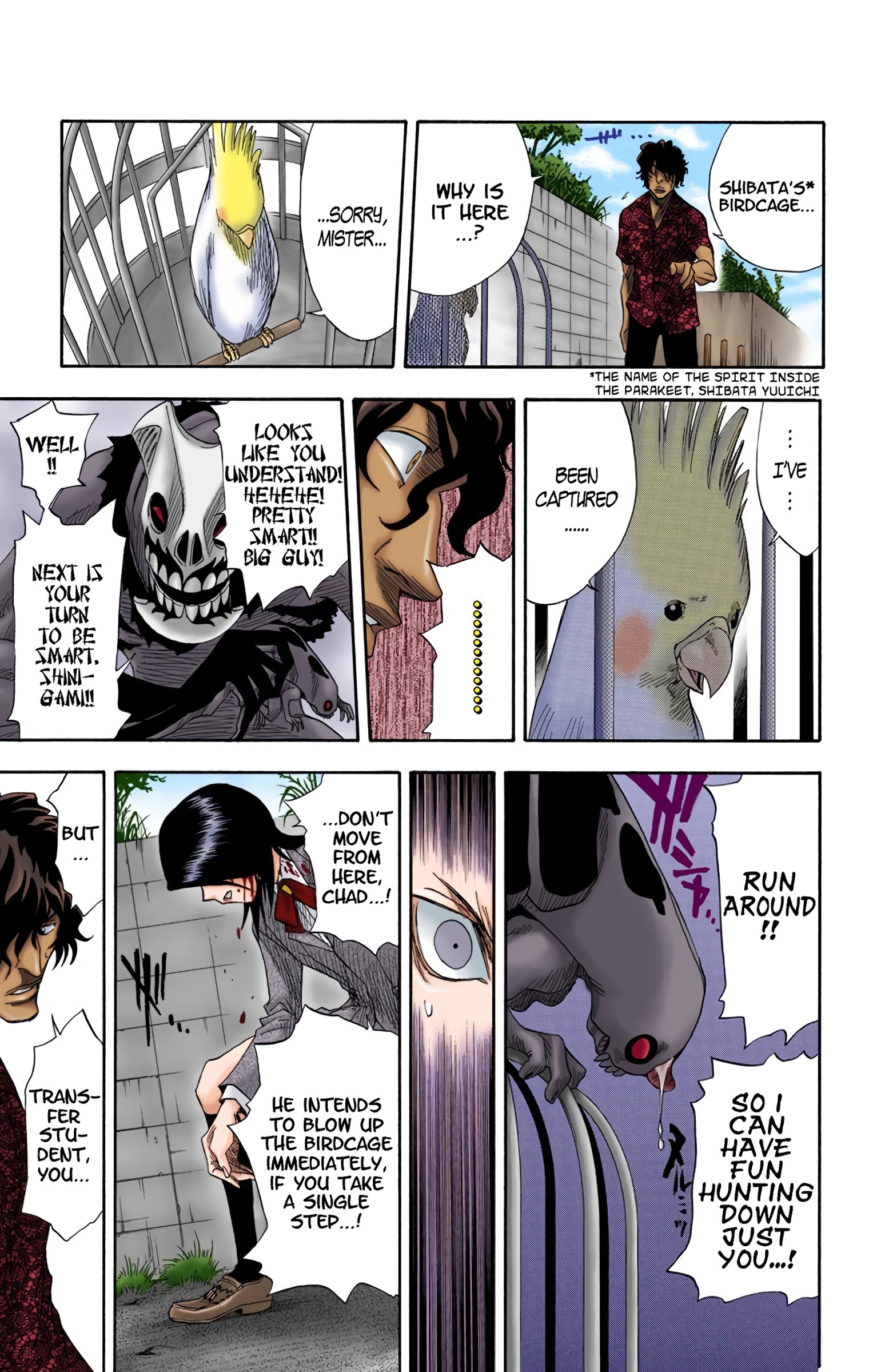 Read Bleach (Colored) EN Manga Online