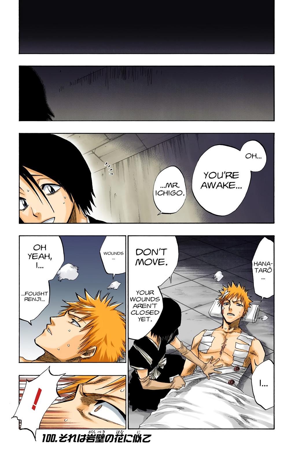Read Bleach (Colored) EN Manga Online