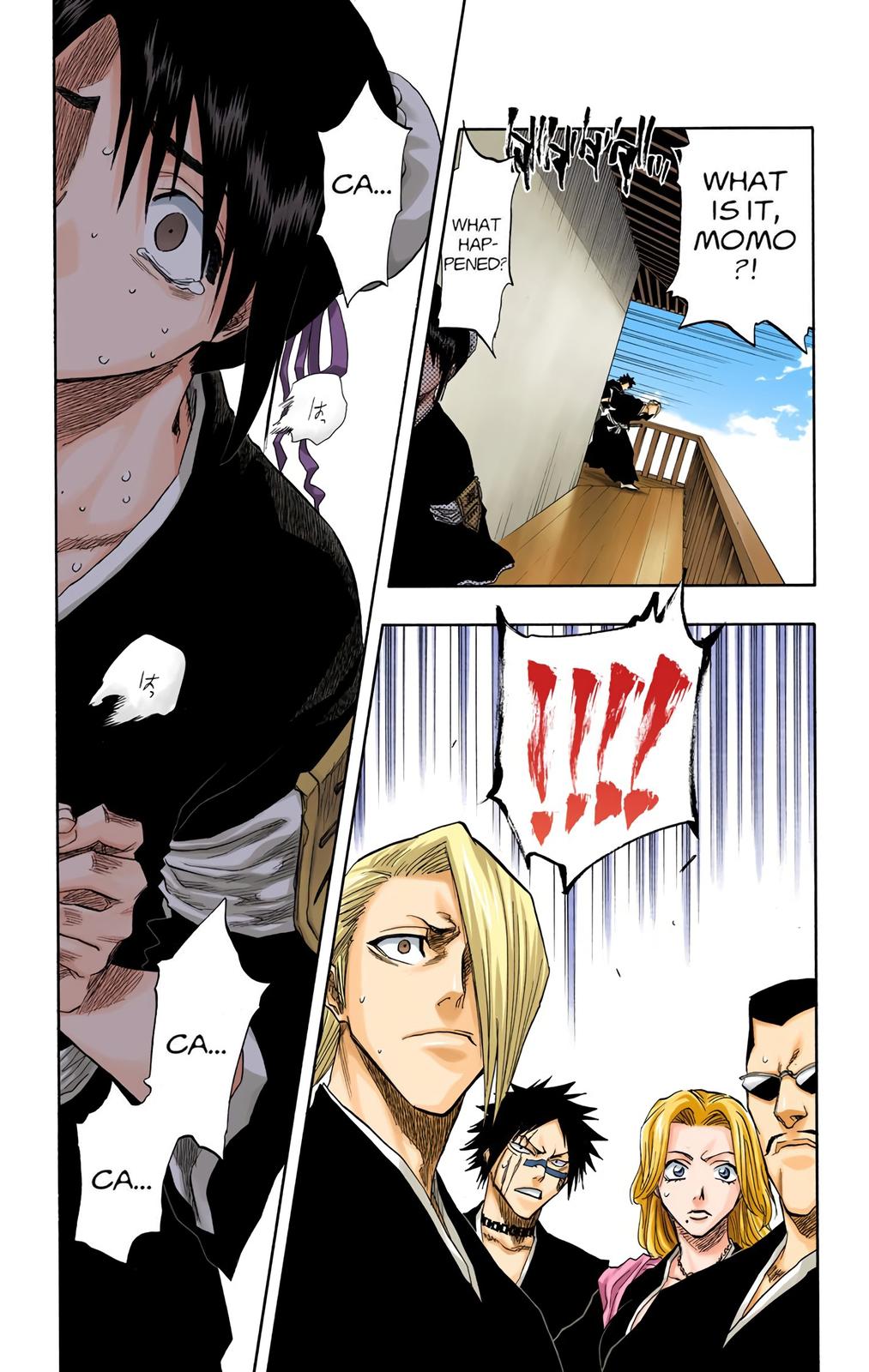 Read Bleach (Colored) EN Manga Online