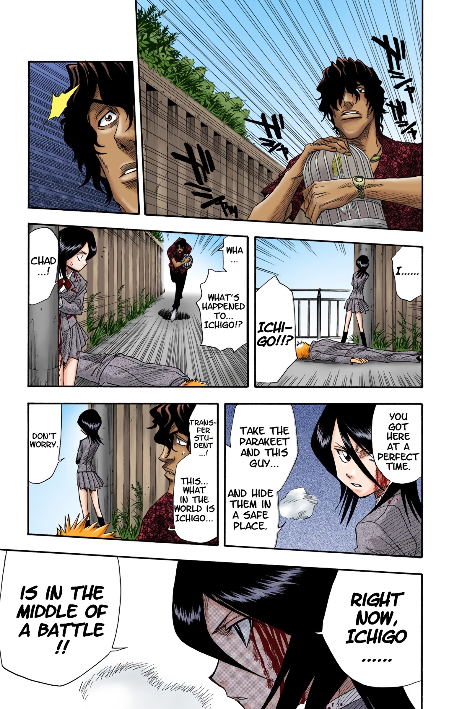 Read Bleach (Colored) EN Manga Online