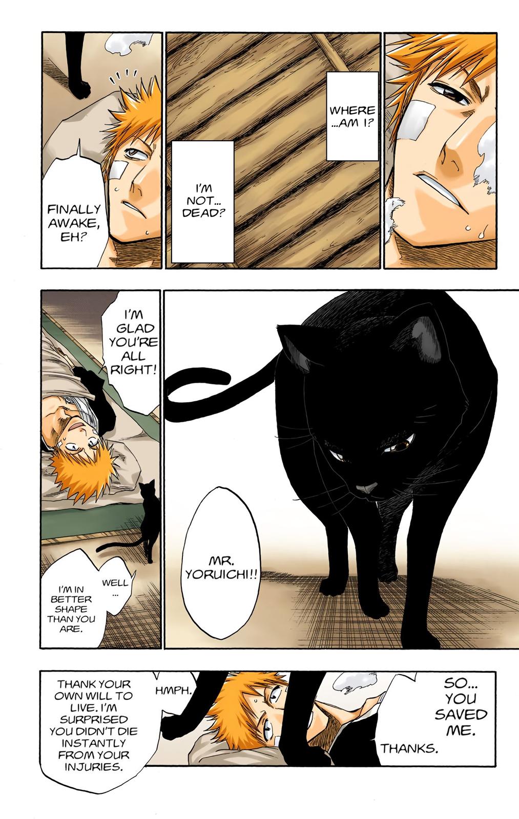 Read Bleach (Colored) EN Manga Online