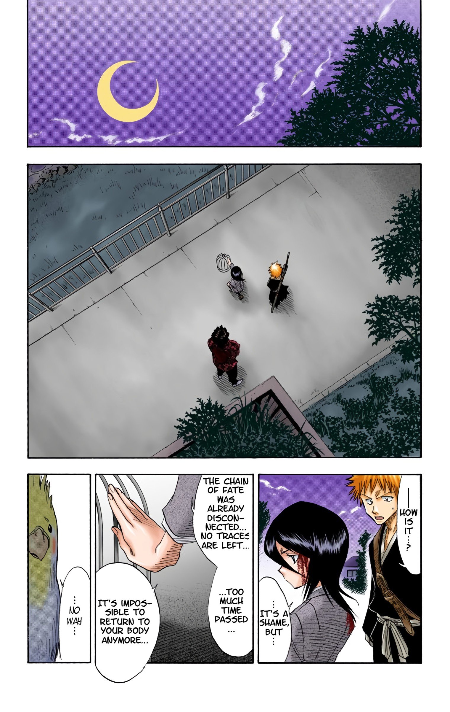 Read Bleach (Colored) EN Manga Online
