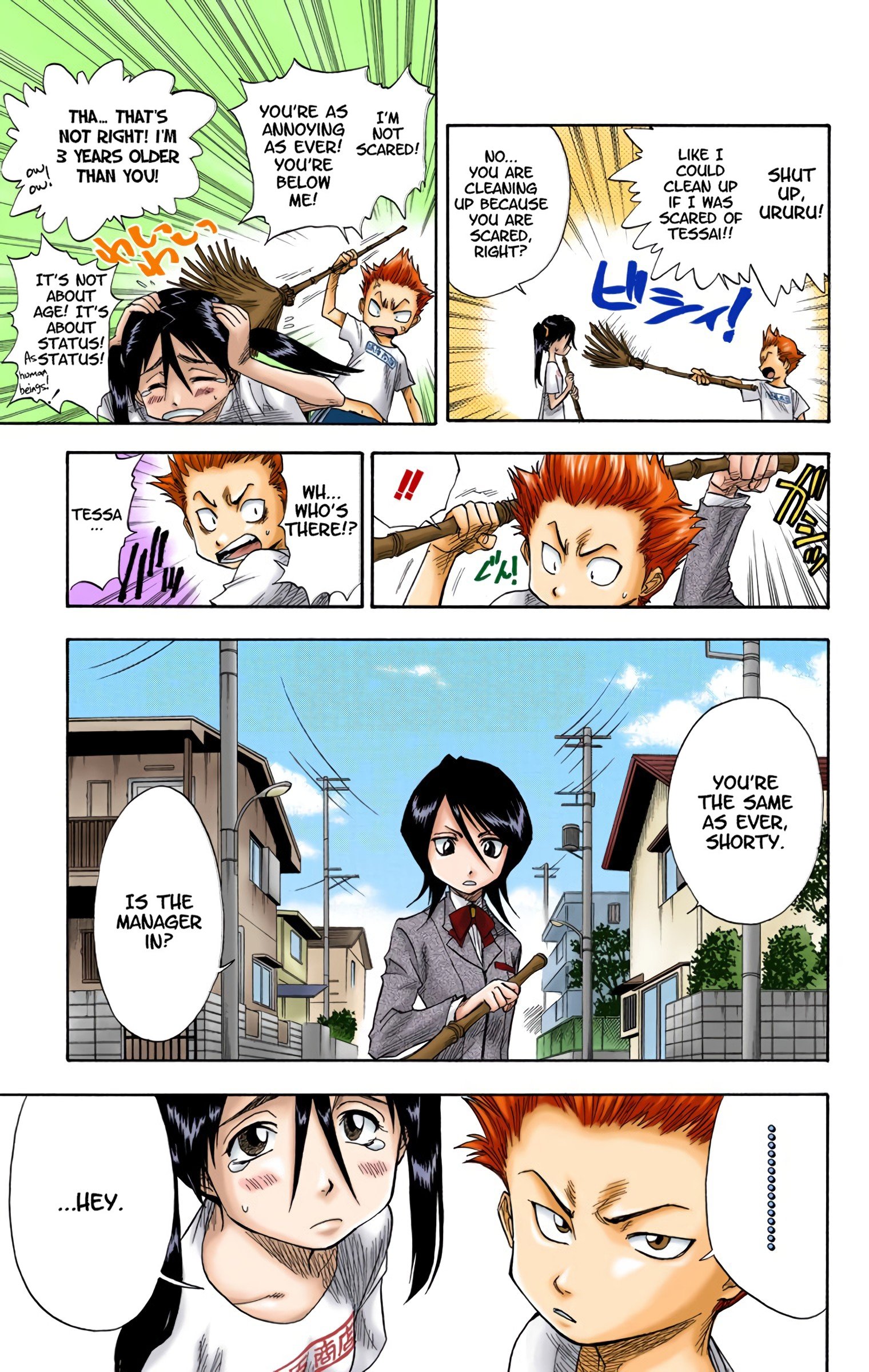 Read Bleach (Colored) EN Manga Online