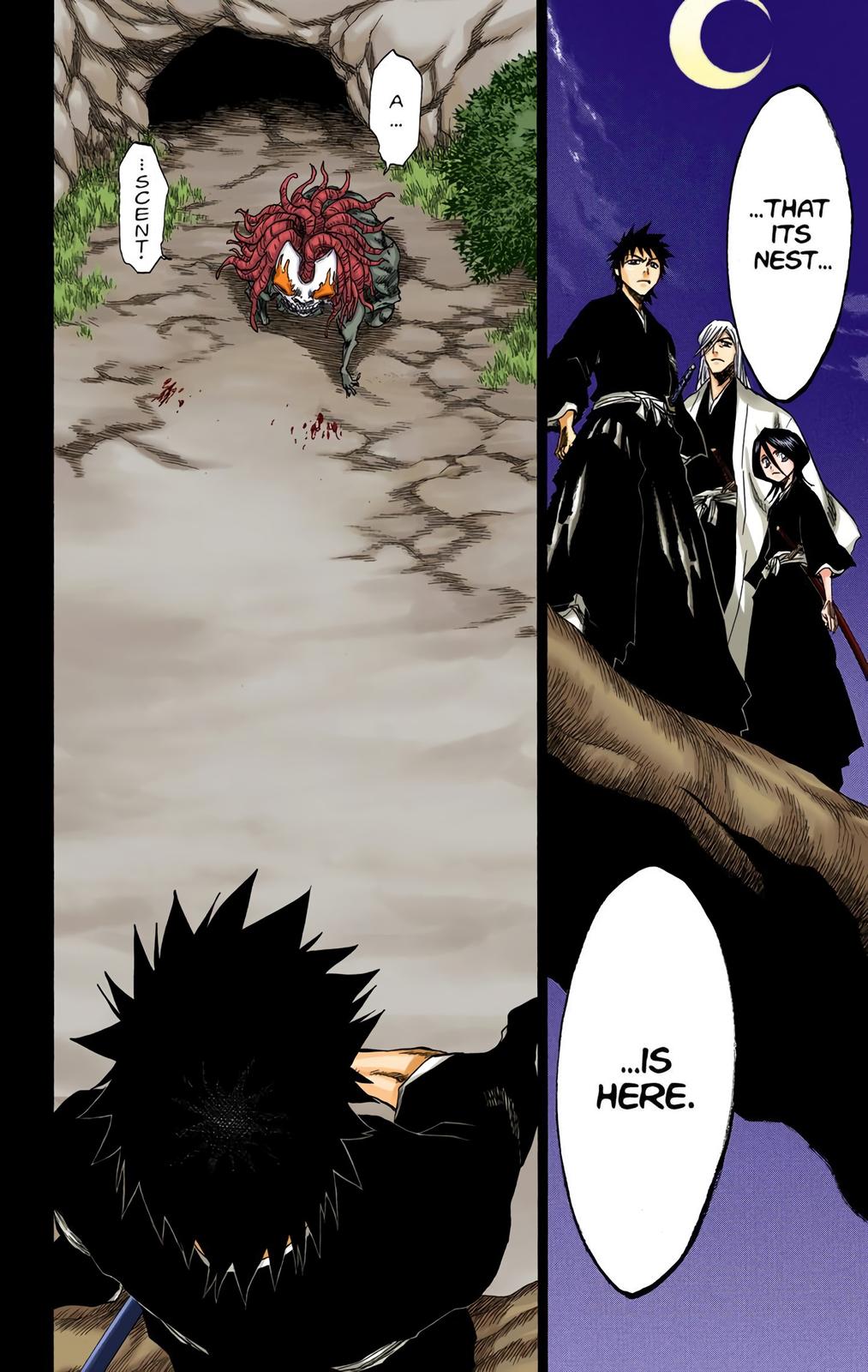 Read Bleach (Colored) EN Manga Online