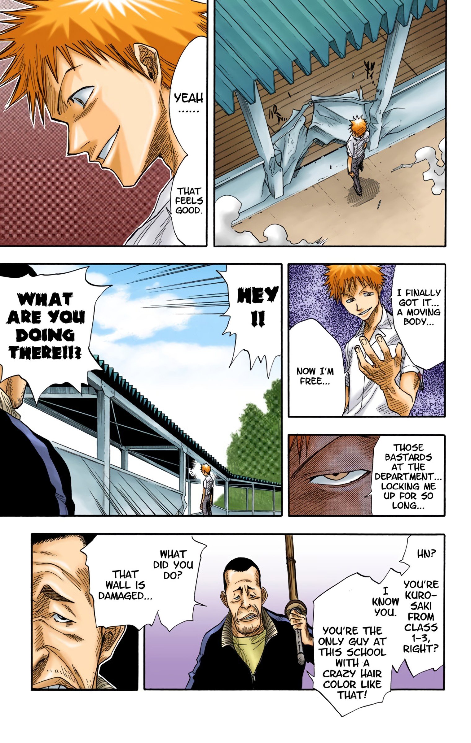 Read Bleach (Colored) EN Manga Online