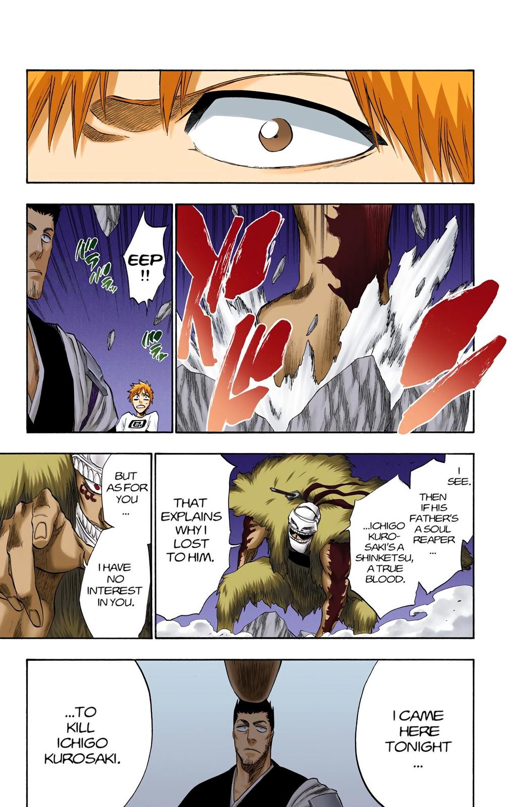 Read Bleach (Colored) EN Manga Online