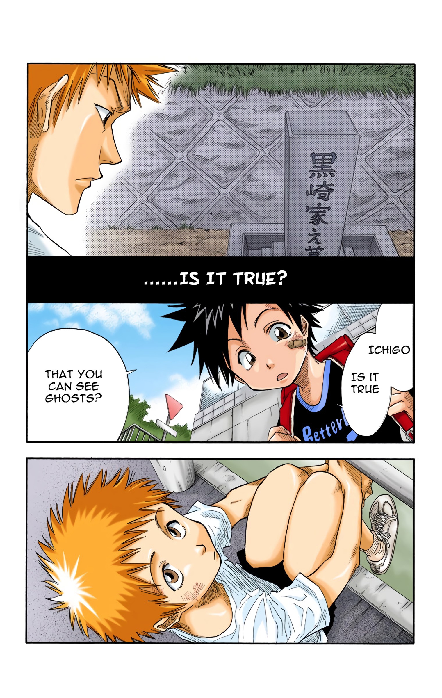 Read Bleach (Colored) EN Manga Online