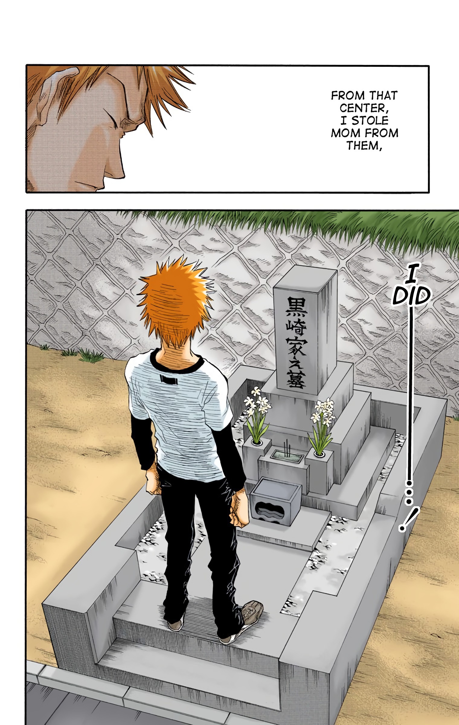 Read Bleach (Colored) EN Manga Online