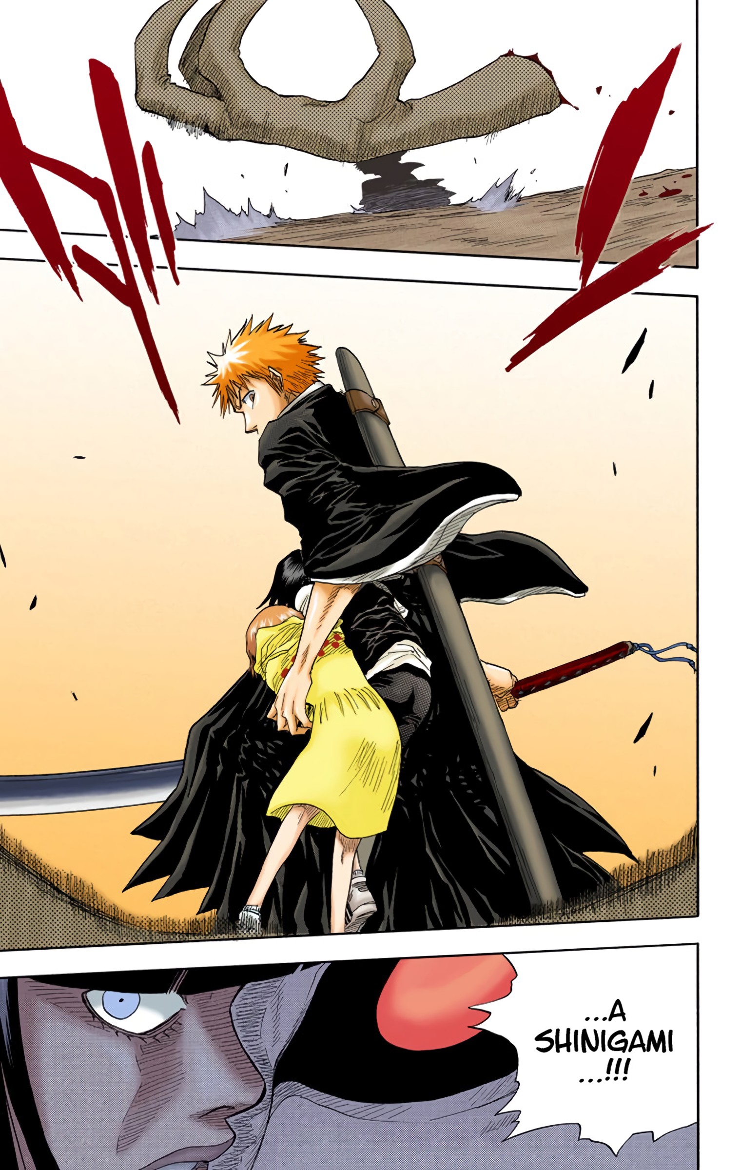 Read Bleach (Colored) EN Manga Online