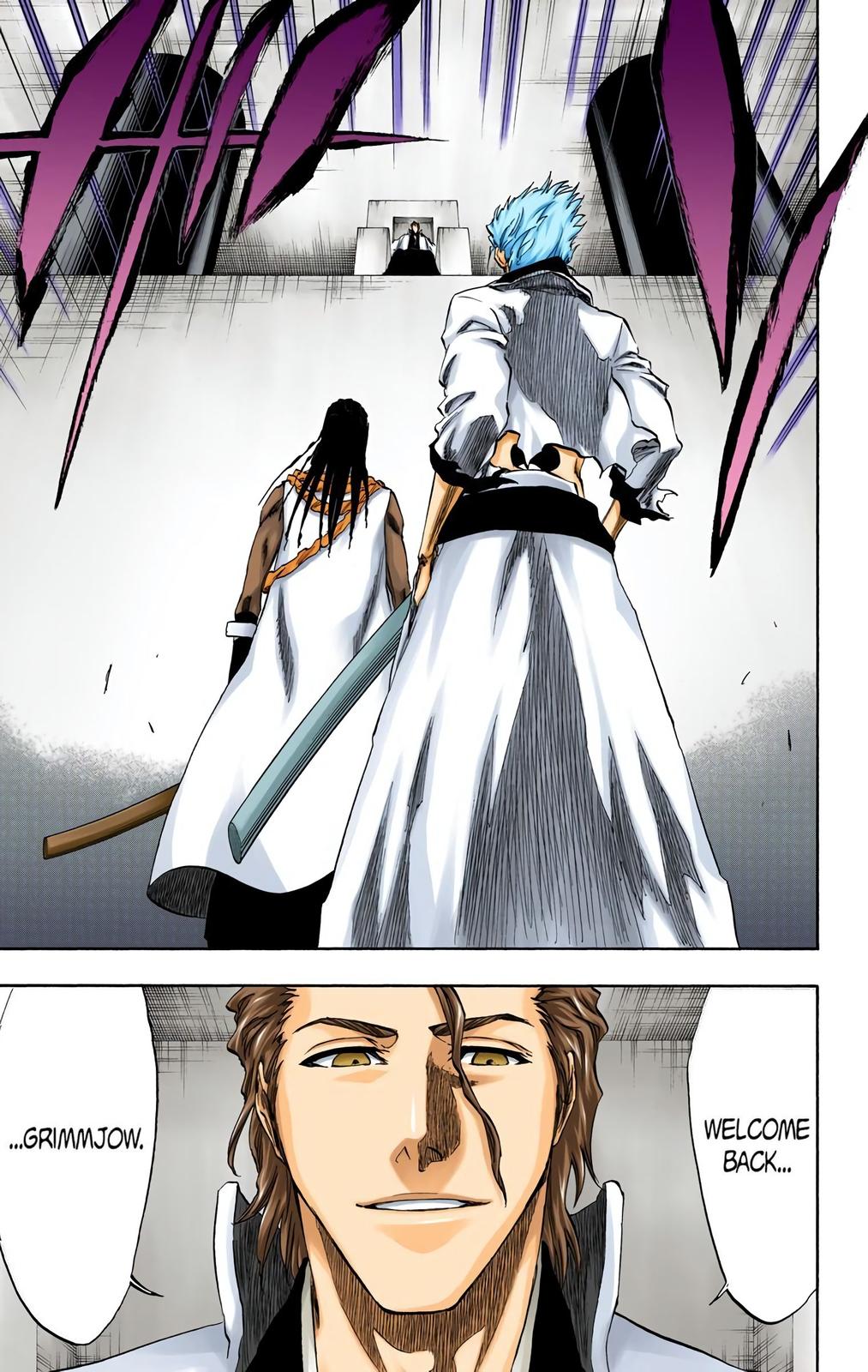 Read Bleach (Colored) EN Manga Online