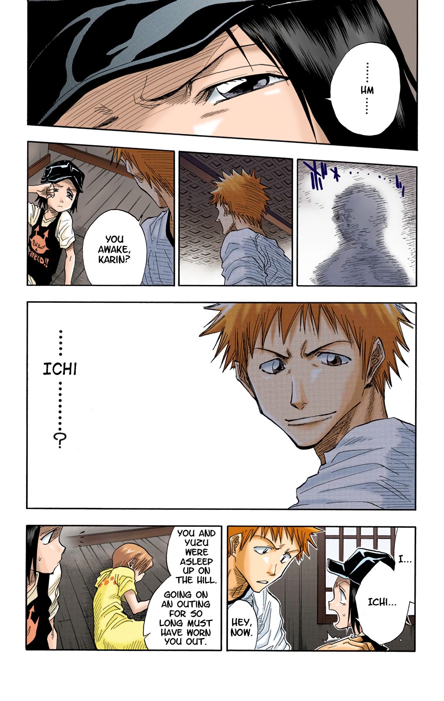 Read Bleach (Colored) EN Manga Online