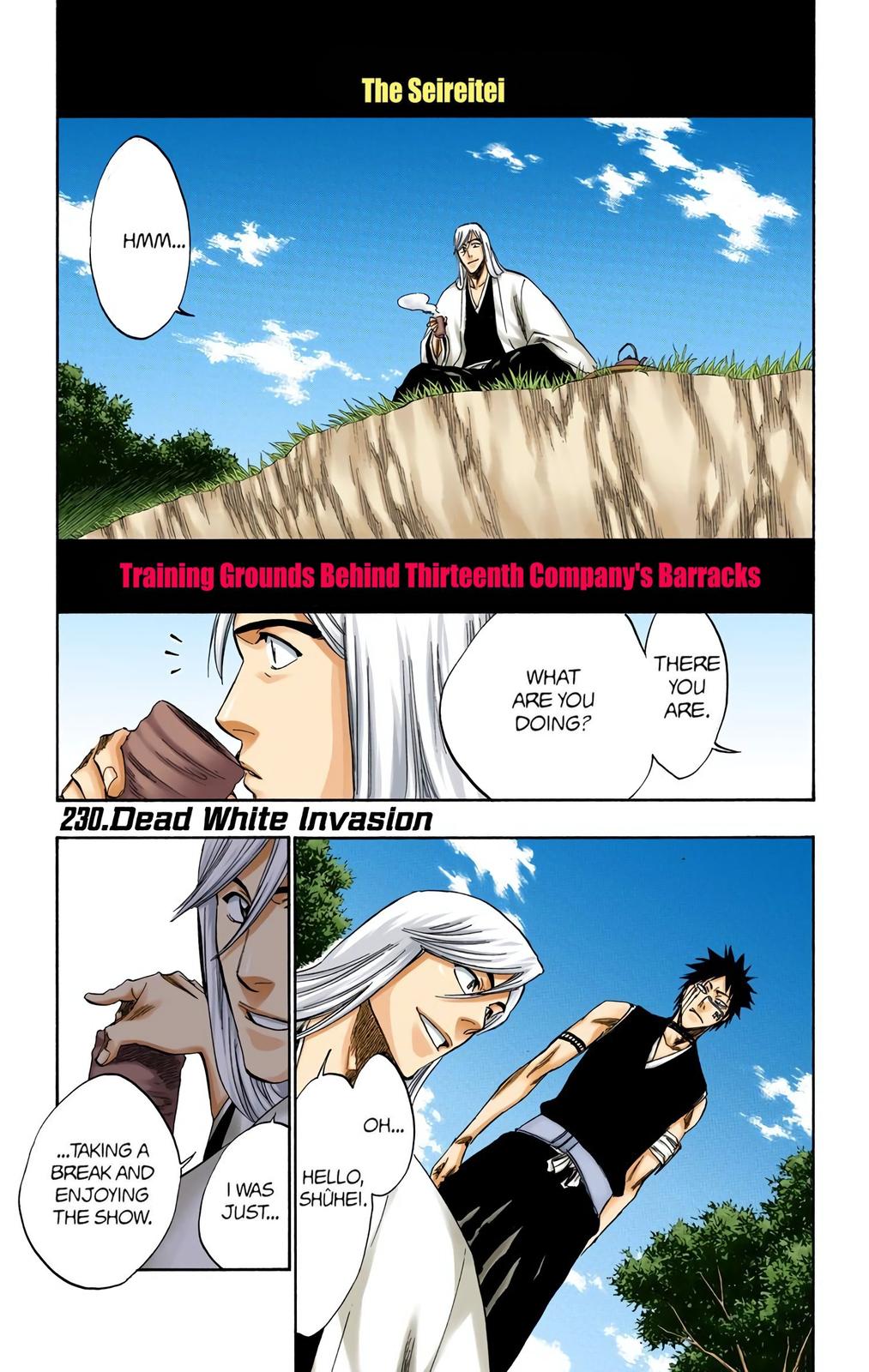 Read Bleach (Colored) EN Manga Online
