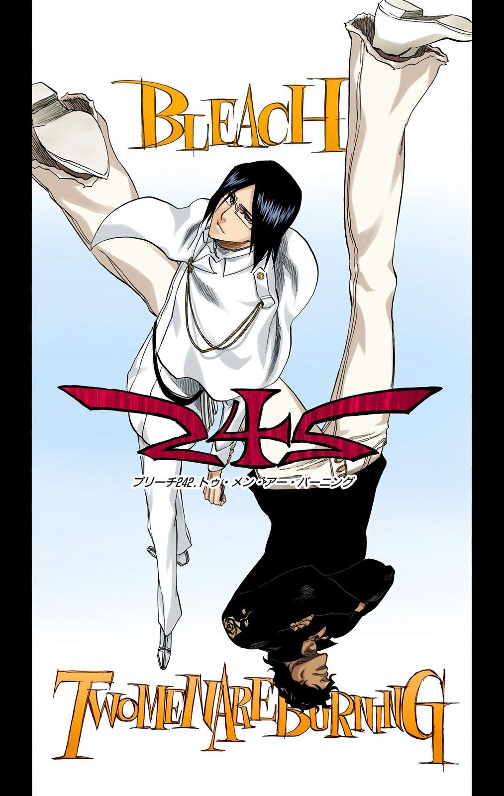 Read Bleach (Colored) EN Manga Online