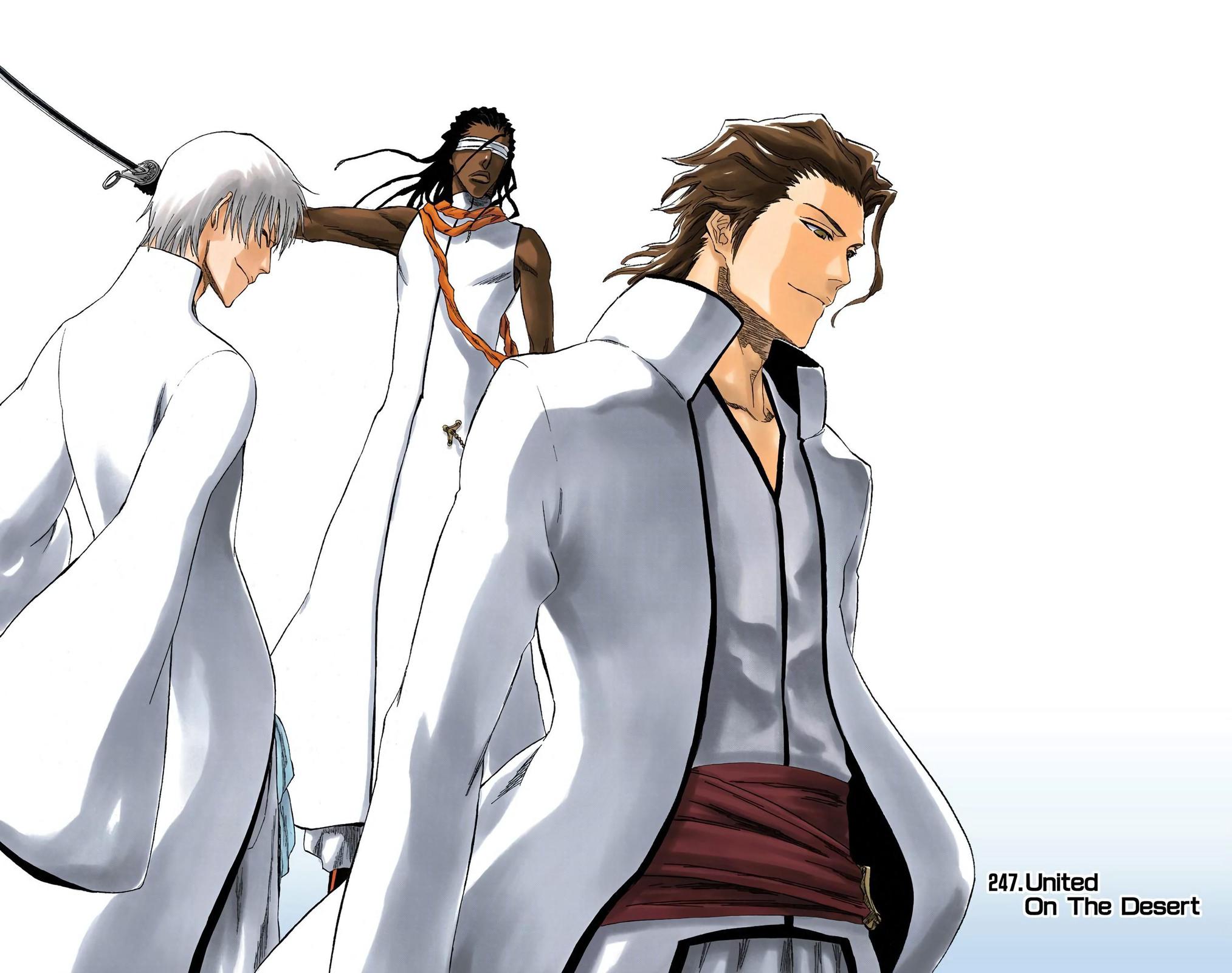 Read Bleach (Colored) EN Manga Online