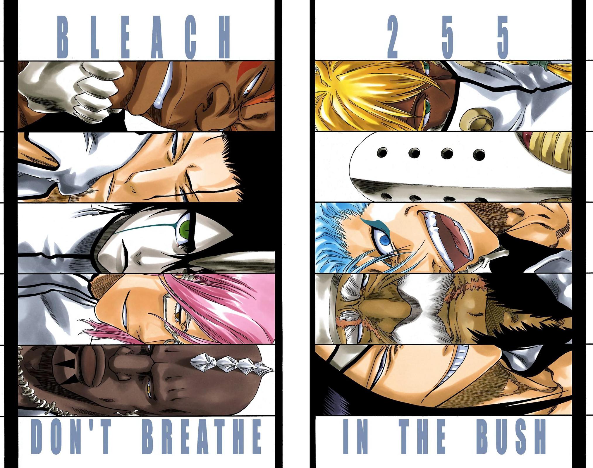 Read Bleach (Colored) EN Manga Online