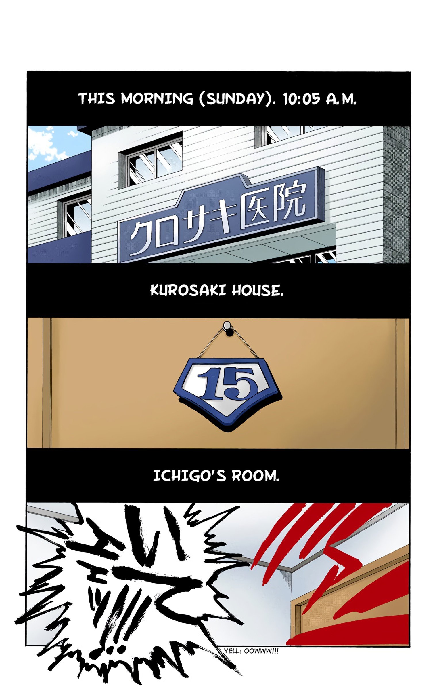 Read Bleach (Colored) EN Manga Online