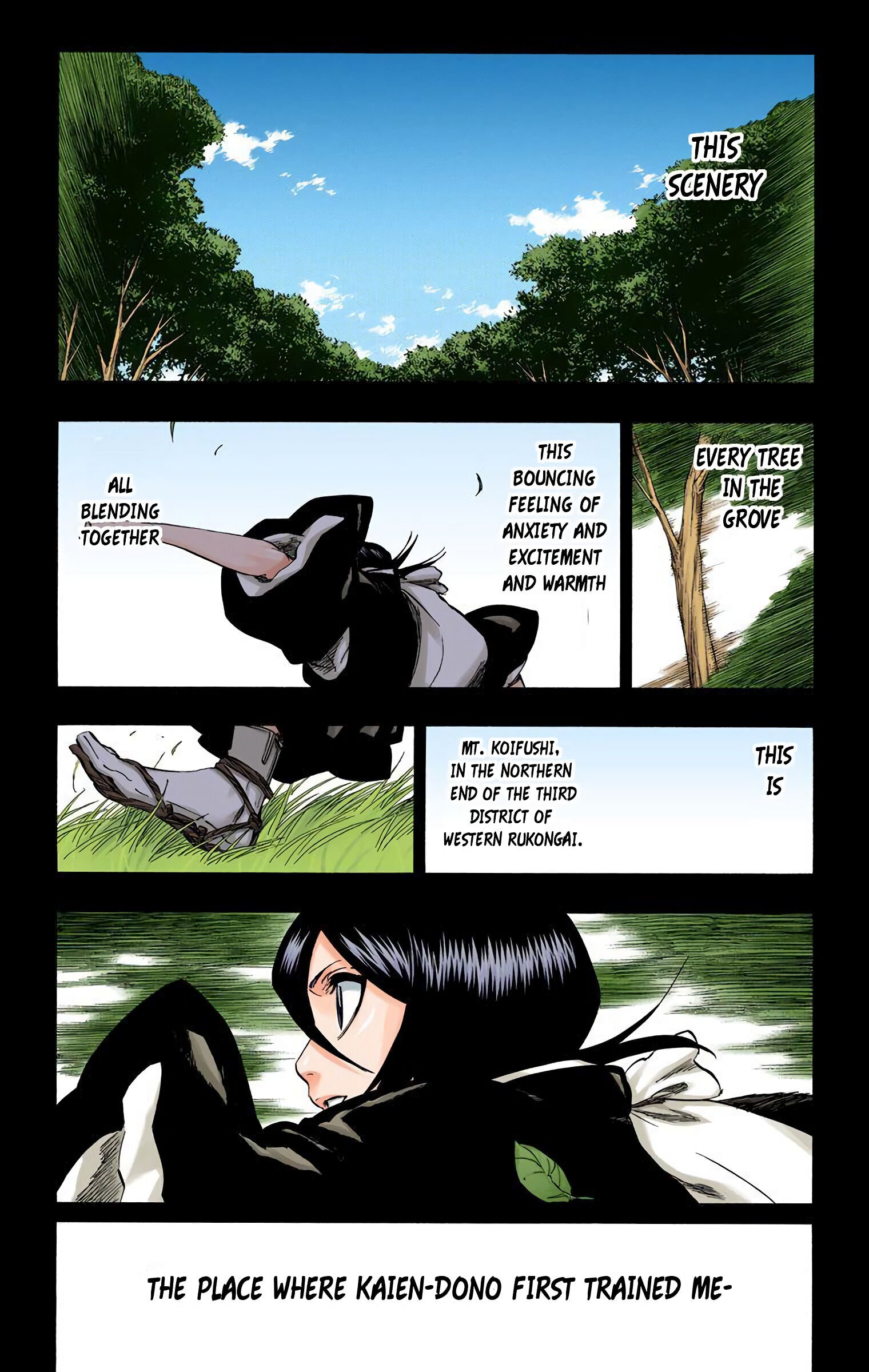 Read Bleach (Colored) EN Manga Online