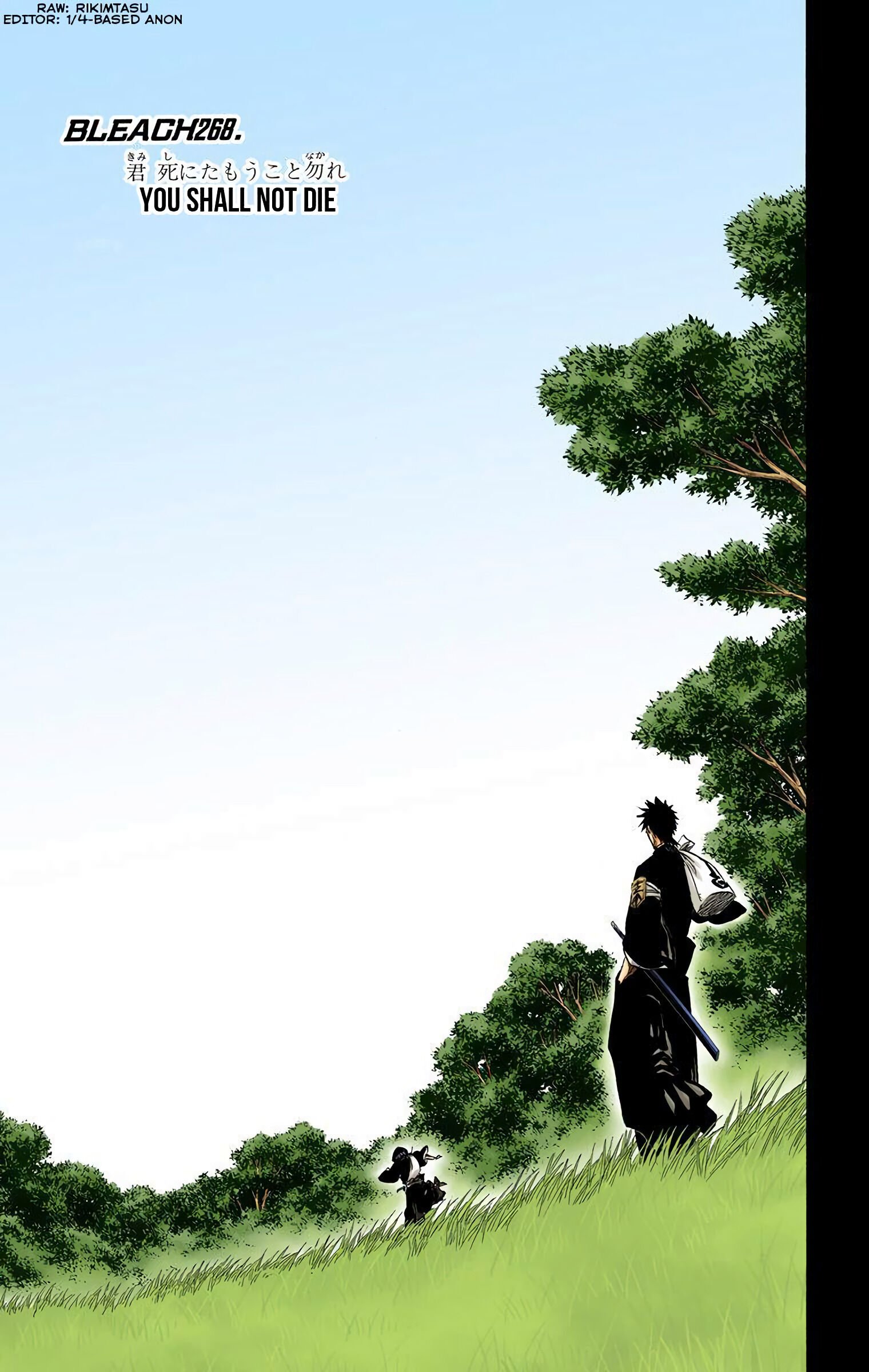 Read Bleach (Colored) EN Manga Online