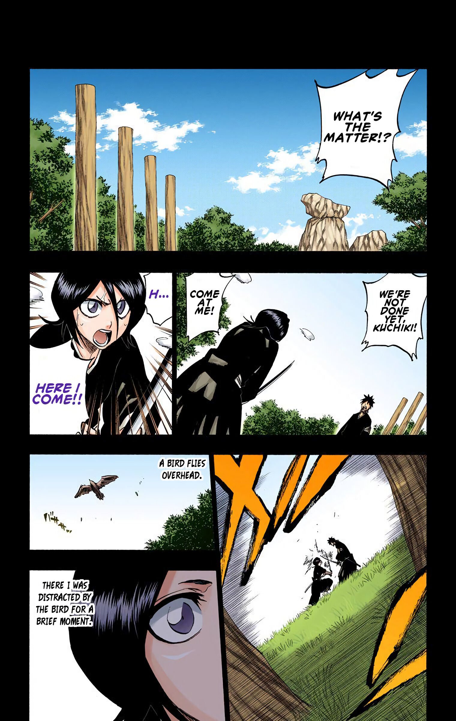 Read Bleach (Colored) EN Manga Online
