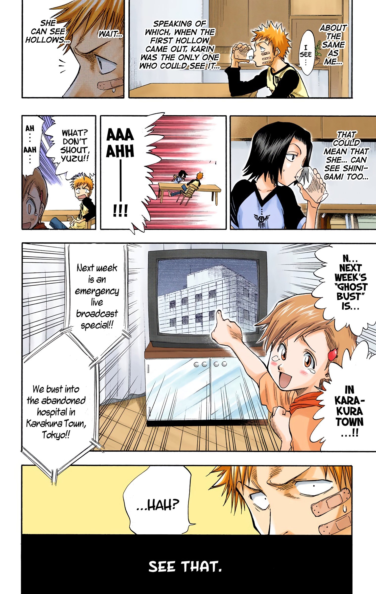 Read Bleach (Colored) EN Manga Online