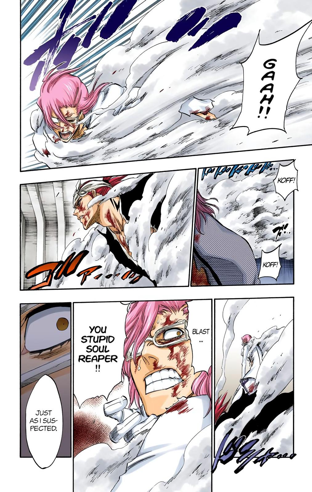 Read Bleach (Colored) EN Manga Online