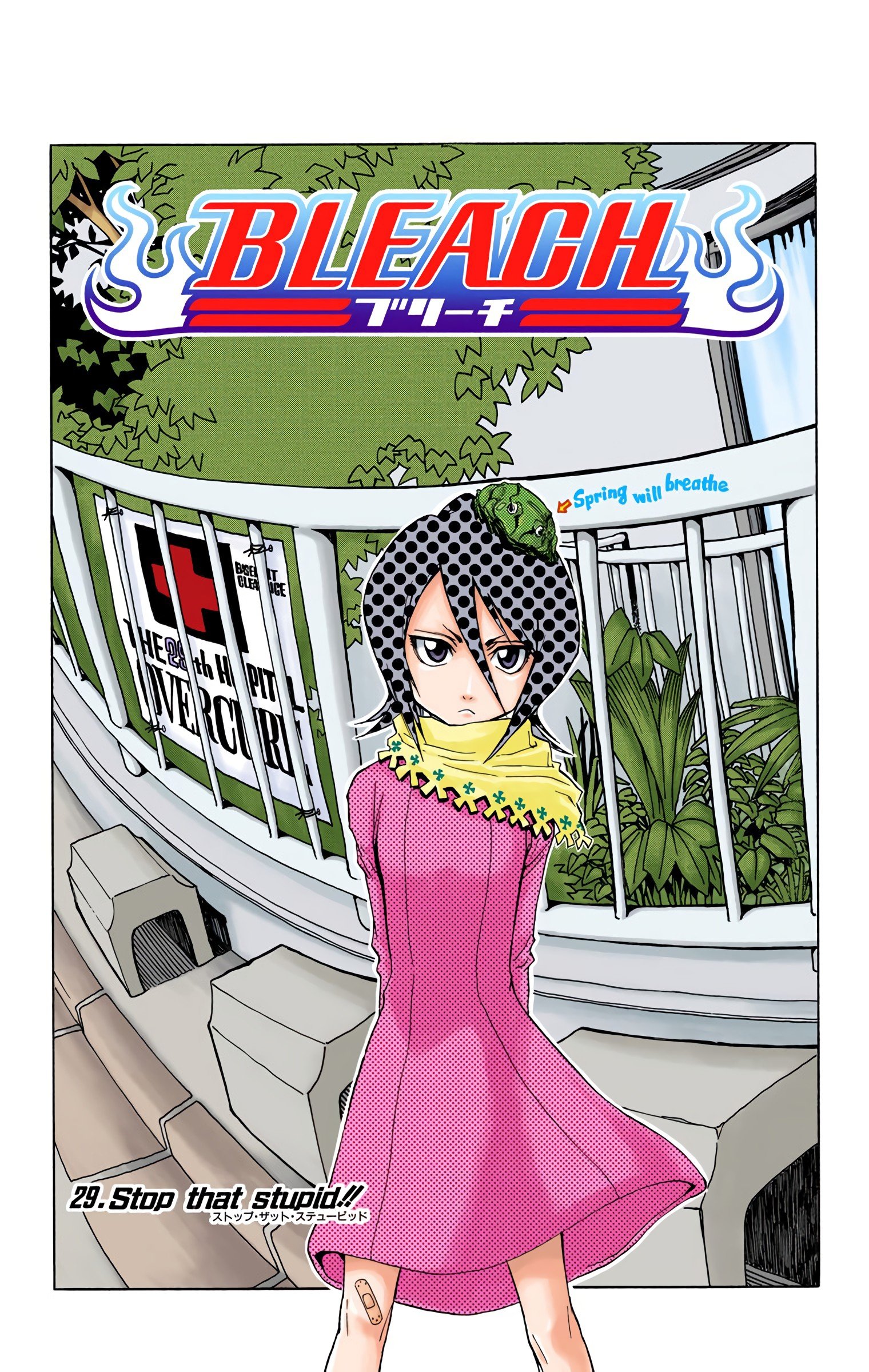 Read Bleach (Colored) EN Manga Online