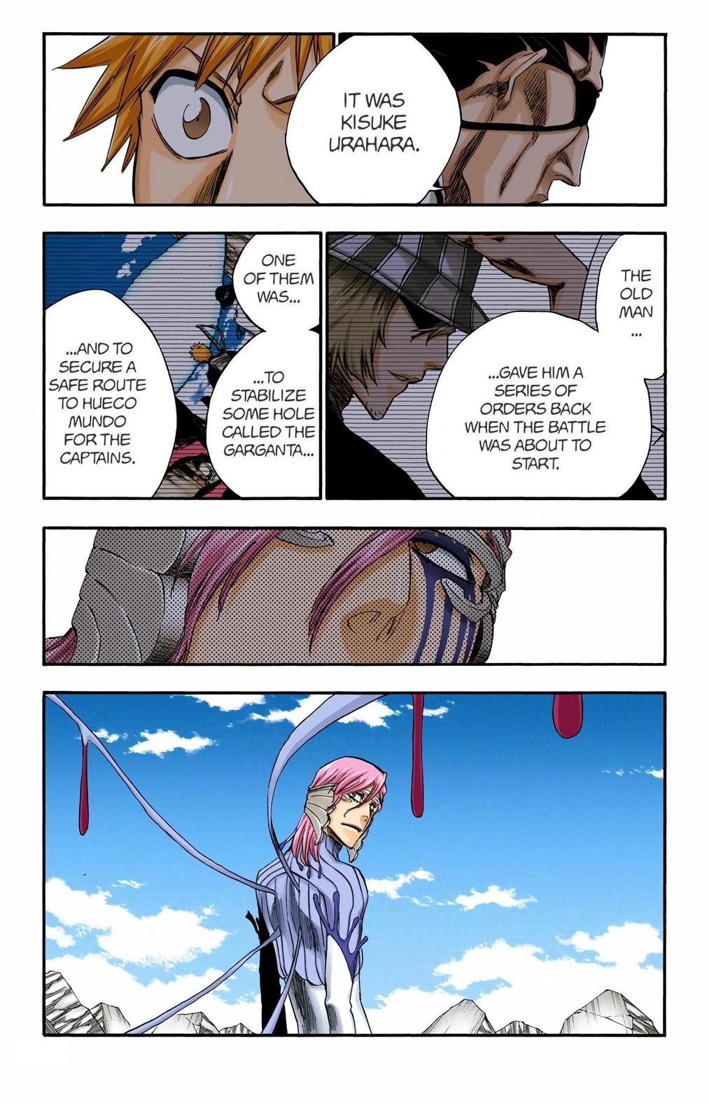 Read Bleach (Colored) EN Manga Online